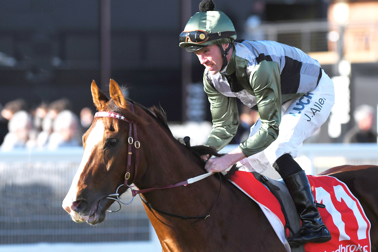 KINGS WILL DREAM running in the Sir Monash P.B.Lawrence Stakes at Caulfield in Melbourne, Australia.