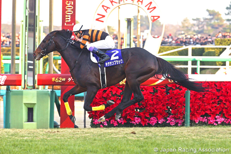 KITASAN BLACK winning the Arima Kinen at Nakayama in Japan. KITASAN BLACK winning the Arima Kinen at Nakayama in Japan.