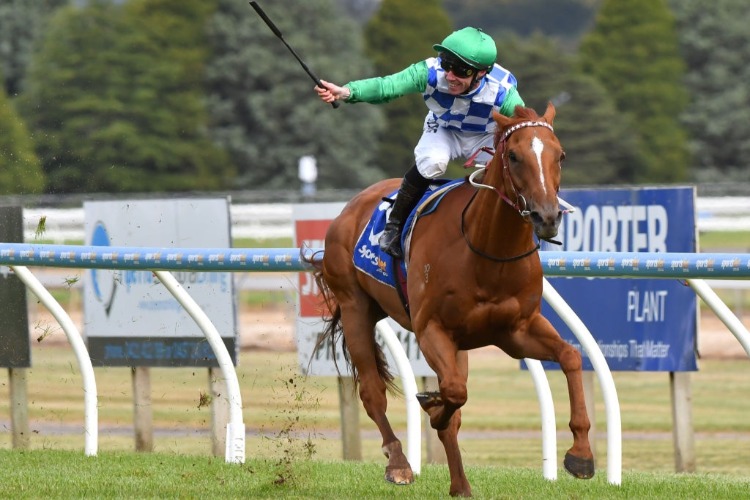 KIWIA winning the Sportsbet Ballarat Cup at Ballarat Racecourse in Ballarat, Australia.