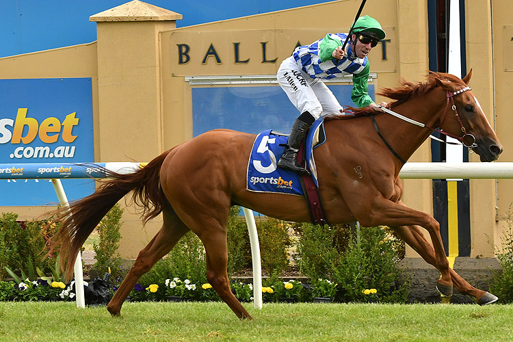 Kiwia winning the Ballarat Cup