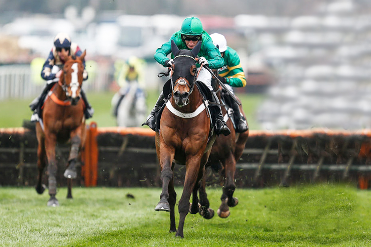 L'AMI SERGE winning the Betway Aintree Hurdle Race in Liverpool, England.