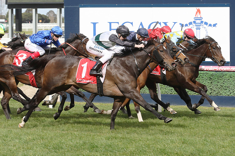 La Bella Diosa winning the Macdonald Family Hcp