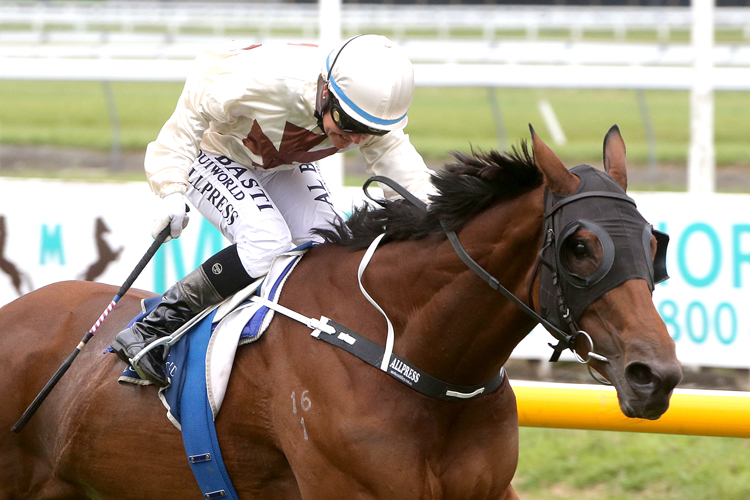 La Fille En Jeu winning the Sth Island T'bred Breeders