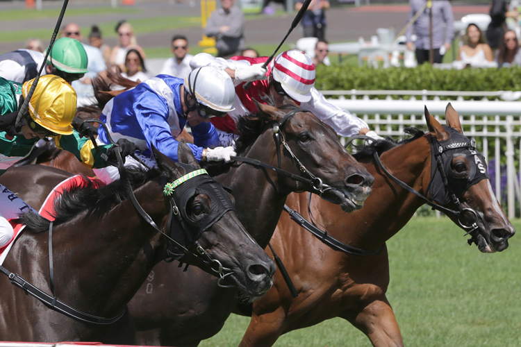 Ladies First(outer) winning the Auckland Co-Op Taxis Hcp