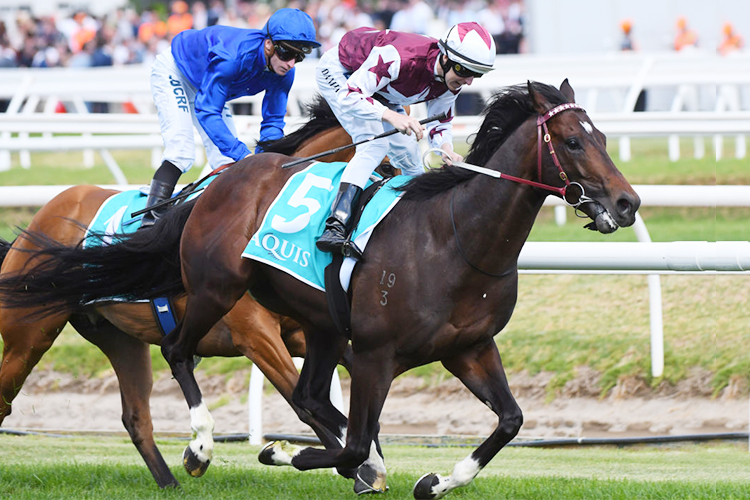 LAND OF PLENTY winning the Aquis Toorak Handicap during Melbourne Racing at Caulfield in Melbourne, Australia. LAND OF PLENTY winning the Aquis Toorak Handicap during Melbourne Racing at Caulfield in Melbourne, Australia.
