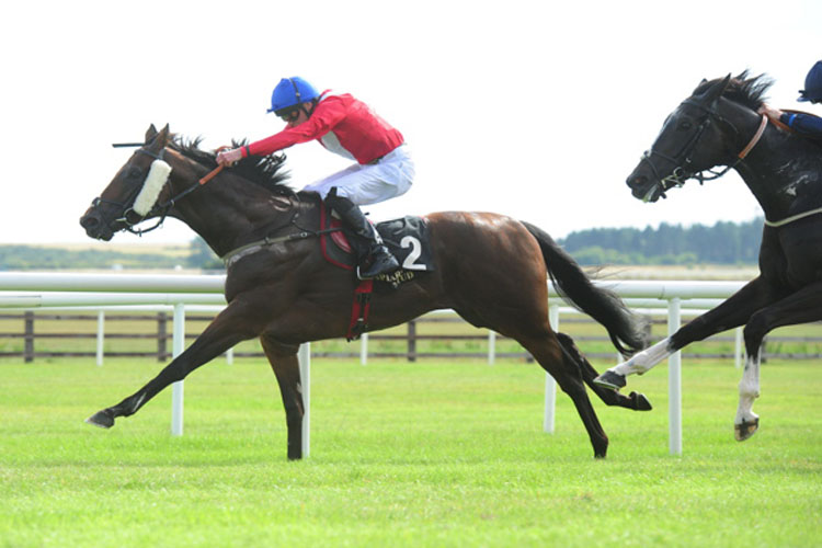 Larchmont Lad winning the Friarstown Stud Minstrel Stakes (Group 2)