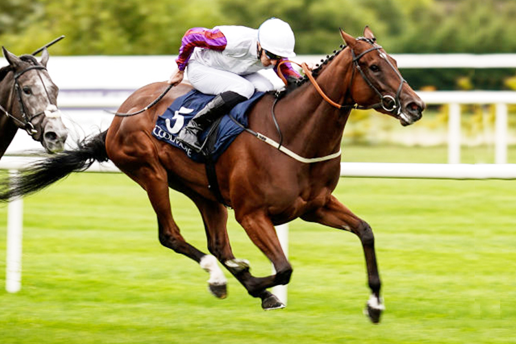 LAURENS winning the Coolmore Fastnet Rock Matron Stakes at Leopardstown in Dublin, Ireland.