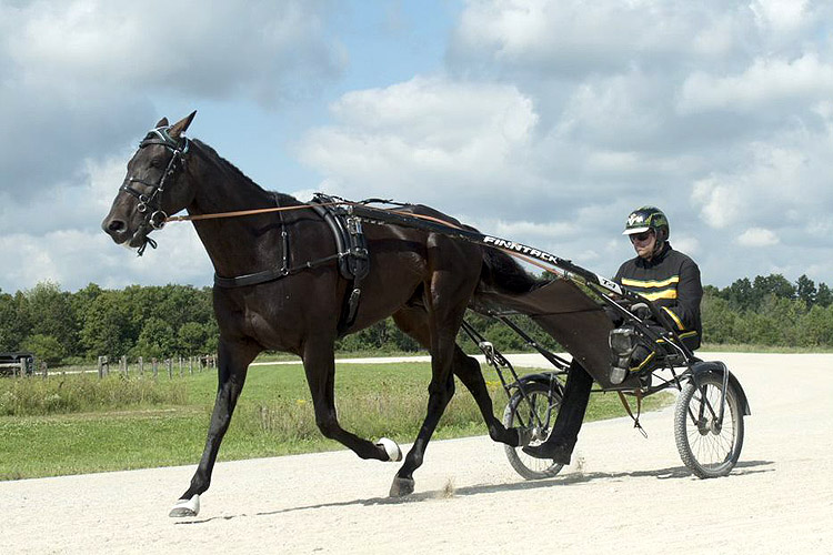 Lazarus N - Jogging at Baycairn Training Centre Lazarus N - Jogging at Baycairn Training Centre