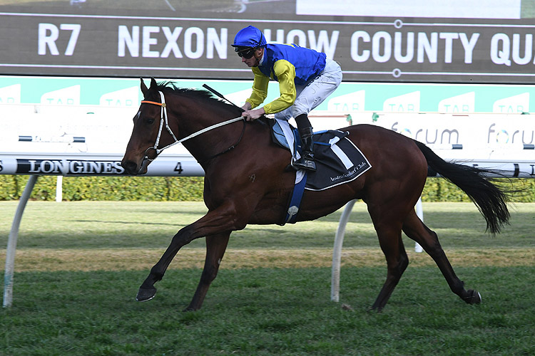 Le Romain winning the Nexon Show County Quality Le Romain winning the Nexon Show County Quality
