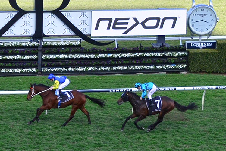 Le Romain winning the Nexon Show County Quality Le Romain winning the Nexon Show County Quality