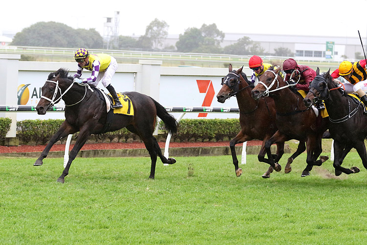 Lean Mean Machine winning the Group 2 Sires' Produce