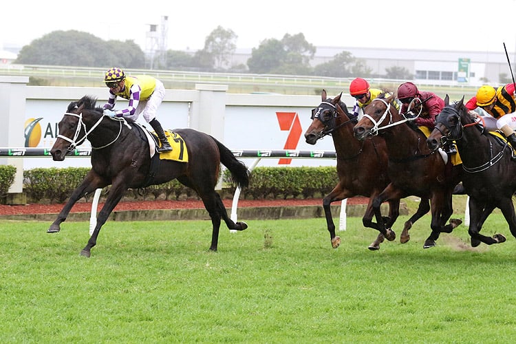 Lean Mean Machine winning the Group 2 Sires' Produce Lean Mean Machine winning the Group 2 Sires' Produce