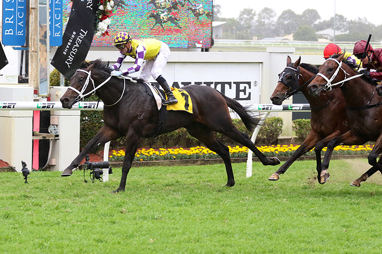 2018 Jj Atkins Tips And Race Preview Racing and Sports