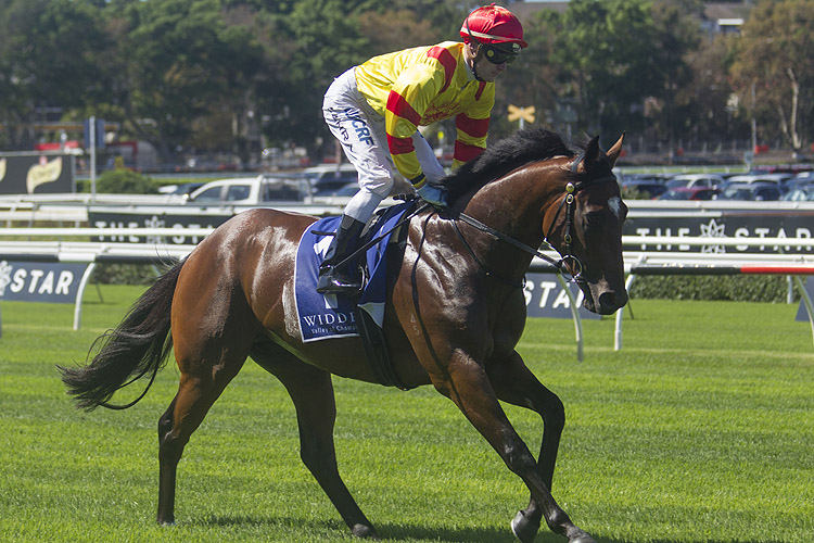 Legend Of Condor running in the Kindergarten Stakes Legend Of Condor running in the Kindergarten Stakes