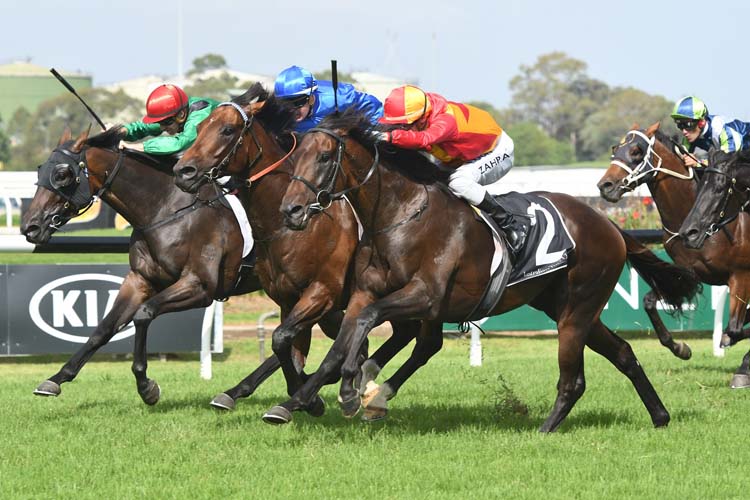 Levendi (right) wins the Tulloch STakes