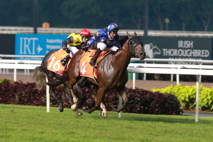 Winner Lim's Cruiser wins the G1 Lion City Cup