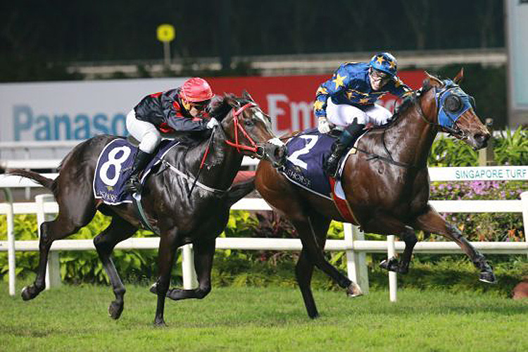 Galvarino (Troy See, on the outside) ran second to Lim's Lightning (Ryan Curatolo) in the Group 2 Aushorse Golden Horseshoe on July 13 last year.