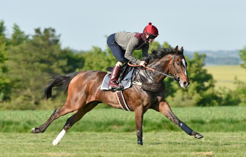 Limato & Harry Bentley Limato & Harry Bentley
