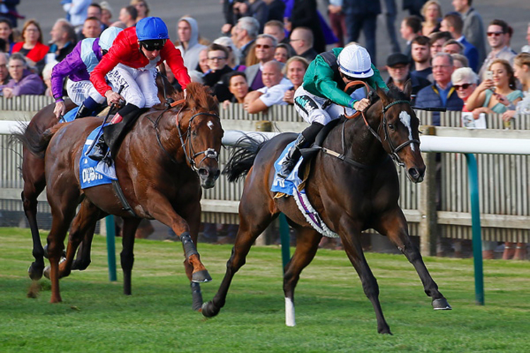 Limato winning the Godolphin Stud And Stable Staff Awards Challenge Stakes (Group 2)