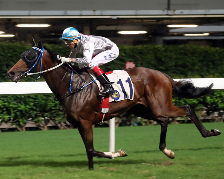 Limitless will attempt to back-up his last start win at Happy Valley Limitless will attempt to back-up his last start win at Happy Valley