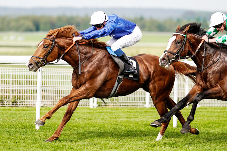 LINE OF DUTY winning the British EBF Peter Willett Maiden Stakes at Goodwood in Chichester, United Kingdom.