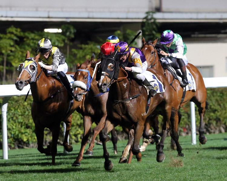 Litterateur (near side) is chasing a fifth win at the course and distance. Litterateur (near side) is chasing a fifth win at the course and distance.
