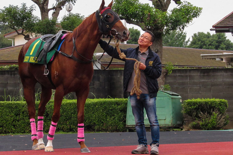 Trainer Francis Lui with Lucky Bubbles after Saturday morning exercise.