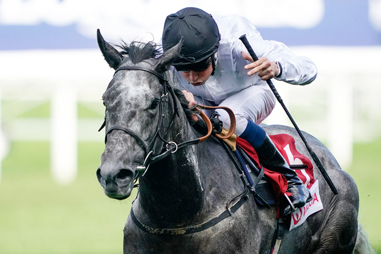 LUSH LIFE winning the Veolia Handicap Stakes in Ascot, United Kingdom.