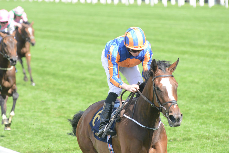Magic Wand winning the Ribblesdale Stakes (Fillies' Group 2)