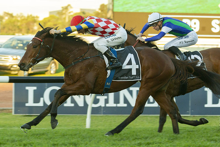 Manolo Blahniq winning the Sydney's West App (Bm80) Manolo Blahniq winning the Sydney's West App (Bm80)