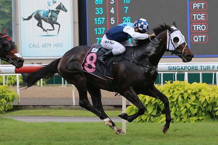 Marine Treasure winning the MR BIG 2013 STAKES CLASS 2