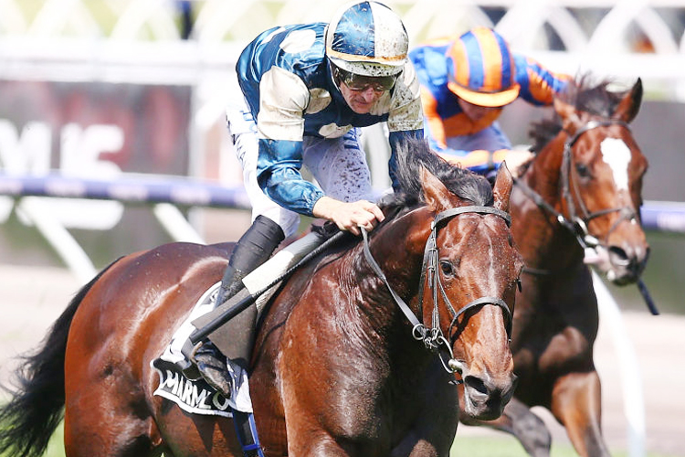 MARMELO running in the Lexus Melbourne Cup during Melbourne Cup Day at Flemington in Melbourne, Australia.