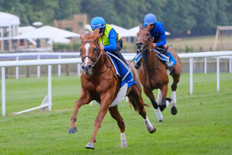 Masar and Brett Doyle galloping at Newmarket on 30 June 2018