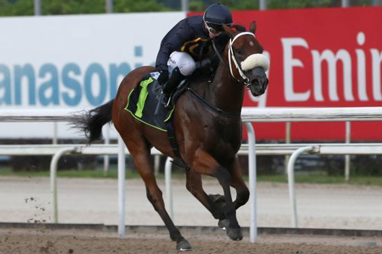 Master Of Malibu winning the CLASS 4 NON PREMIER