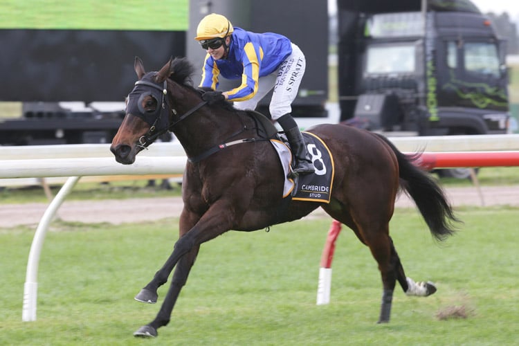 Melt winning the Northland Breeders' Stakes