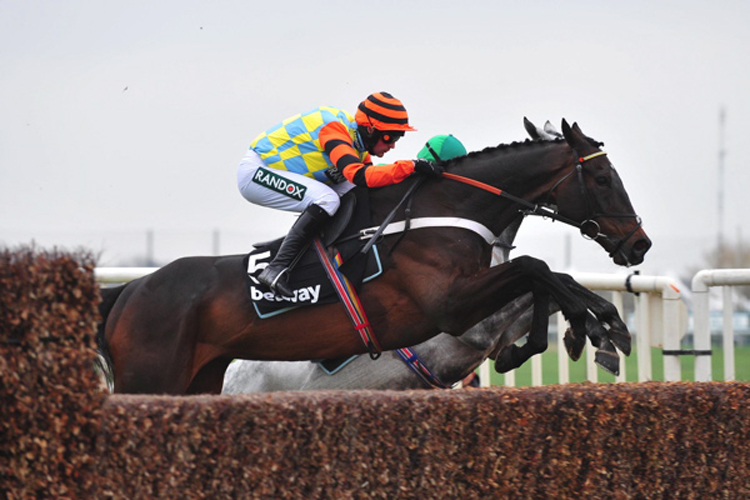 Might Bite winning the Betway Bowl Chase (Grade 1)