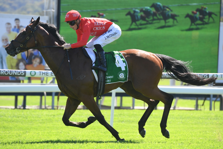 MILITARY ZONE winning the Mercedes-benz Gosford Guineas.