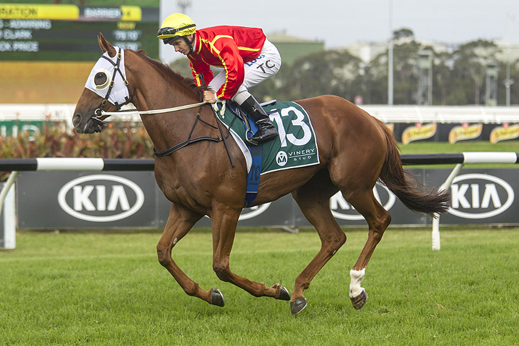 Miss Admiration running in the Vinery Stud Stakes