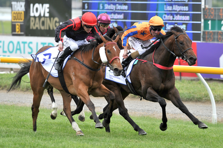 Miss Federer(outer) winning the Barneswood Farm Welcome Stakes