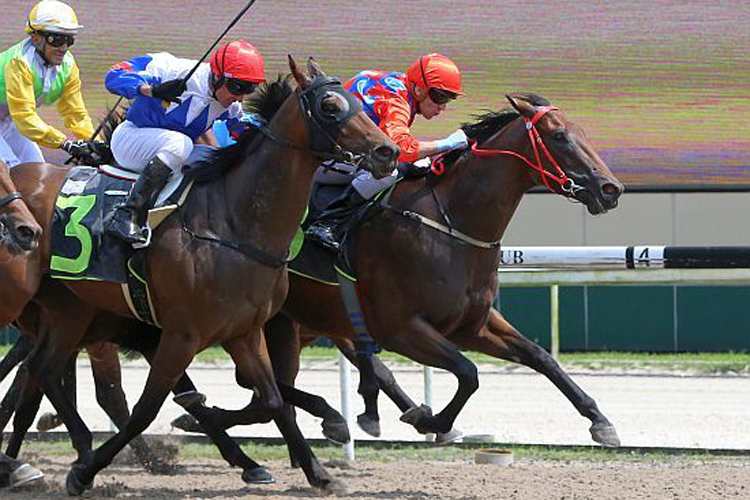 Mon Energy winning the DANIEL 2016 STAKES RESTRICTED MAIDEN