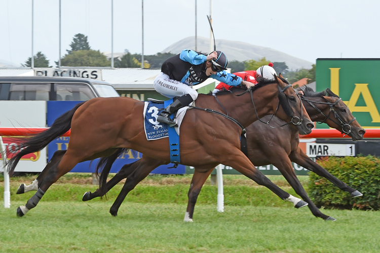 Montoya Star winning the Karaka Million Hcp