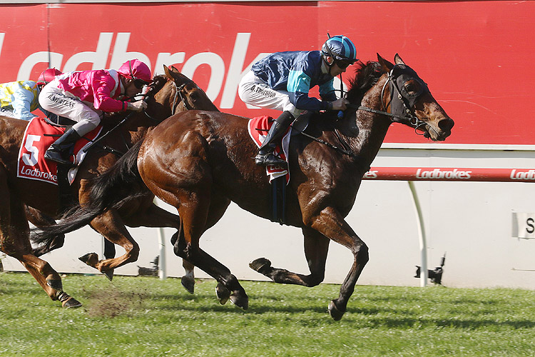 Moonlover winning the Ladbrokes Back Yourself Hcp Moonlover winning the Ladbrokes Back Yourself Hcp