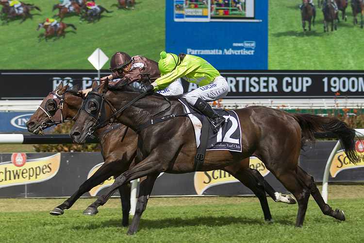 More Energy Wins Parramatta Cup