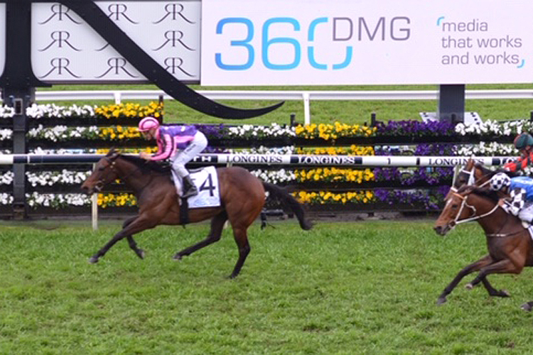 Moss 'n' Dale winning the 360 Dmg Craven Plate Moss 'n' Dale winning the 360 Dmg Craven Plate