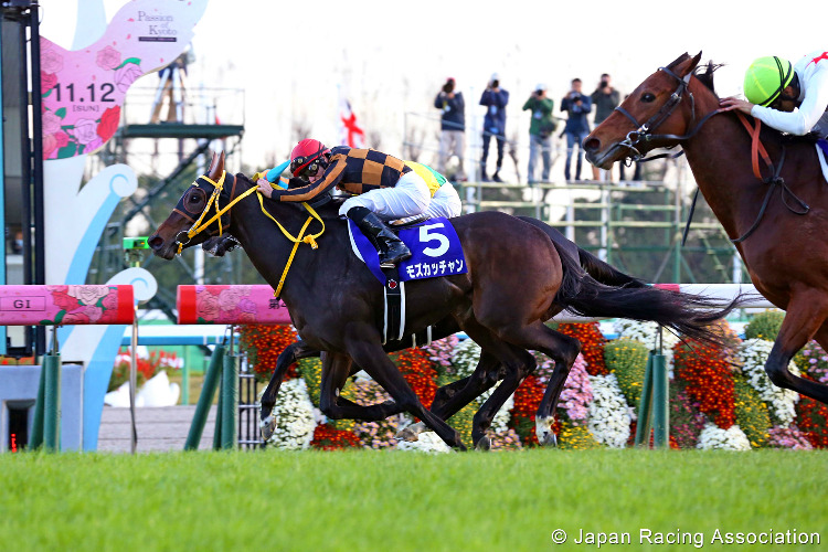 MOZU KATCHAN winning the Queen Elizabeth II Cup at Kyoto in Japan. MOZU KATCHAN winning the Queen Elizabeth II Cup at Kyoto in Japan.