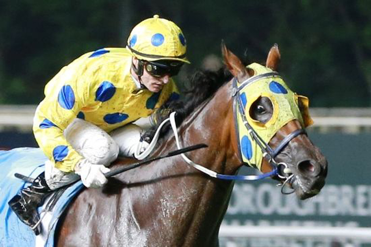 Mr Clint (Zac Purton) off to a brilliant win in the Singapore Guineas. Mr Clint (Zac Purton) off to a brilliant win in the Singapore Guineas.