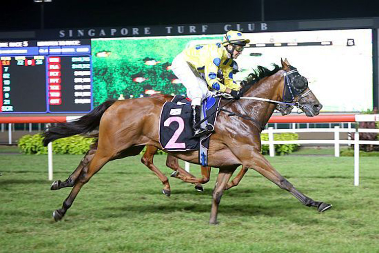 Mr Dujardin winning the CLASS 4 NON PREMIER Mr Dujardin winning the CLASS 4 NON PREMIER