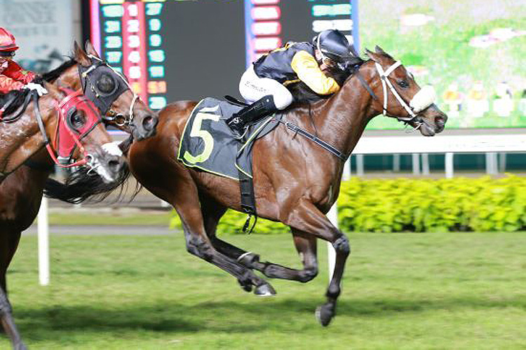 Mr Fantastic winning the KRANJI STAKES A