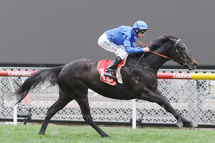 Multaja winning the Saj Fruits Hcp Multaja winning the Saj Fruits Hcp
