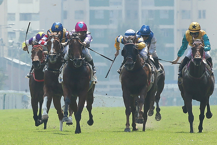 My Beginner's Luck winning the Chinese Banyan Hcp (C3) My Beginner's Luck winning the Chinese Banyan Hcp (C3)